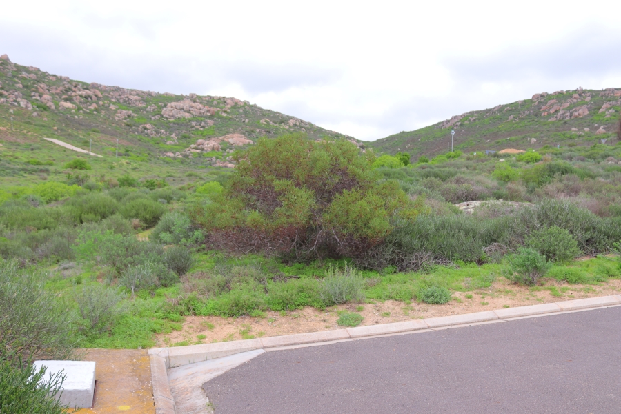 0 Bedroom Property for Sale in St Helena Views Western Cape